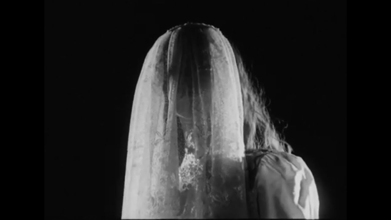 Allan Rayman - Dead Frogs (Official Video)