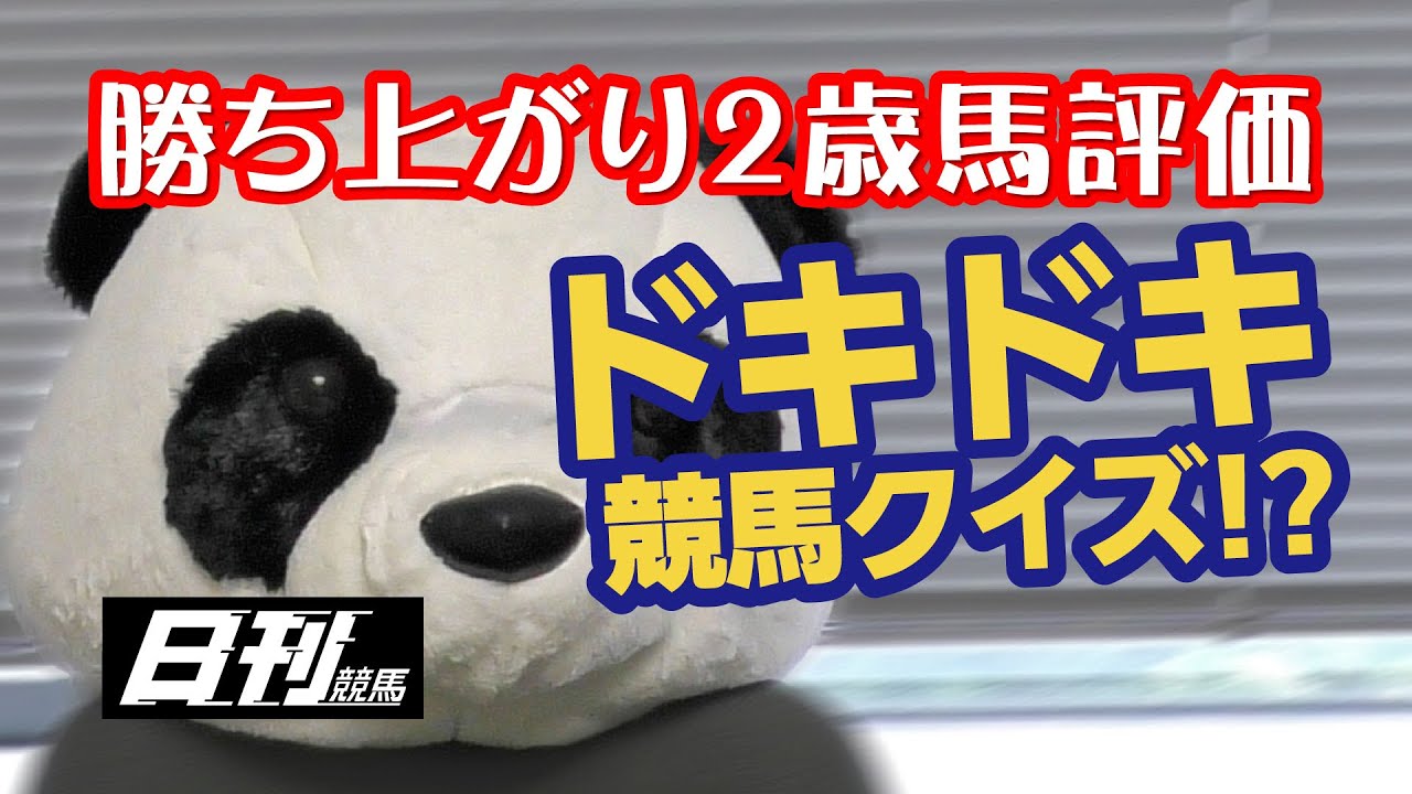 勝ち上がり２歳馬評価（ヒシタイカン,ランフリーバンクス,ルモンドブリエ）