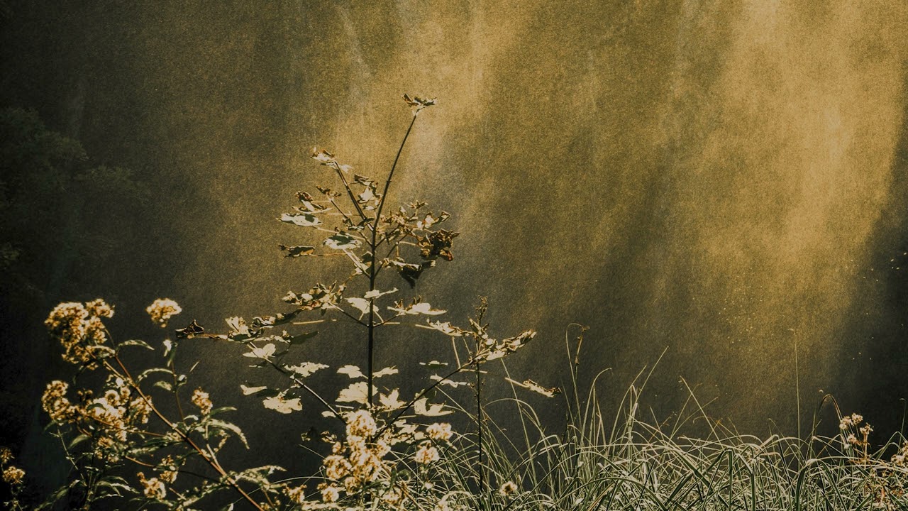 Harbors (Hollie Kenniff & Goldmund) - For One Another [Official Audio]