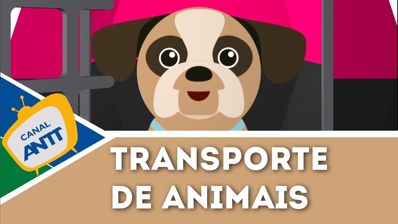 Transporte de animais