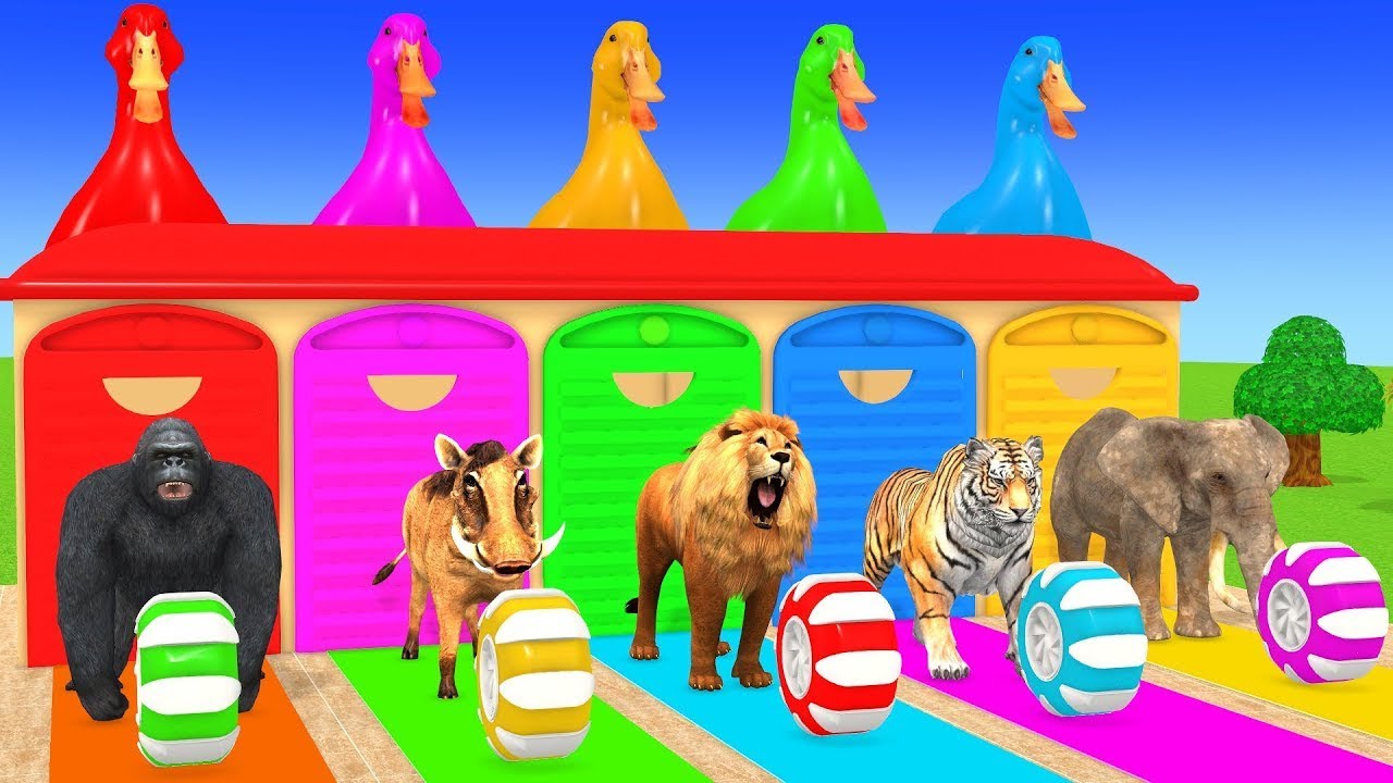 Long Slide Game With Cow Elephant Gorilla Hippopotamus Tiger 3d Animal Game Funny 3d AnimalsVideo