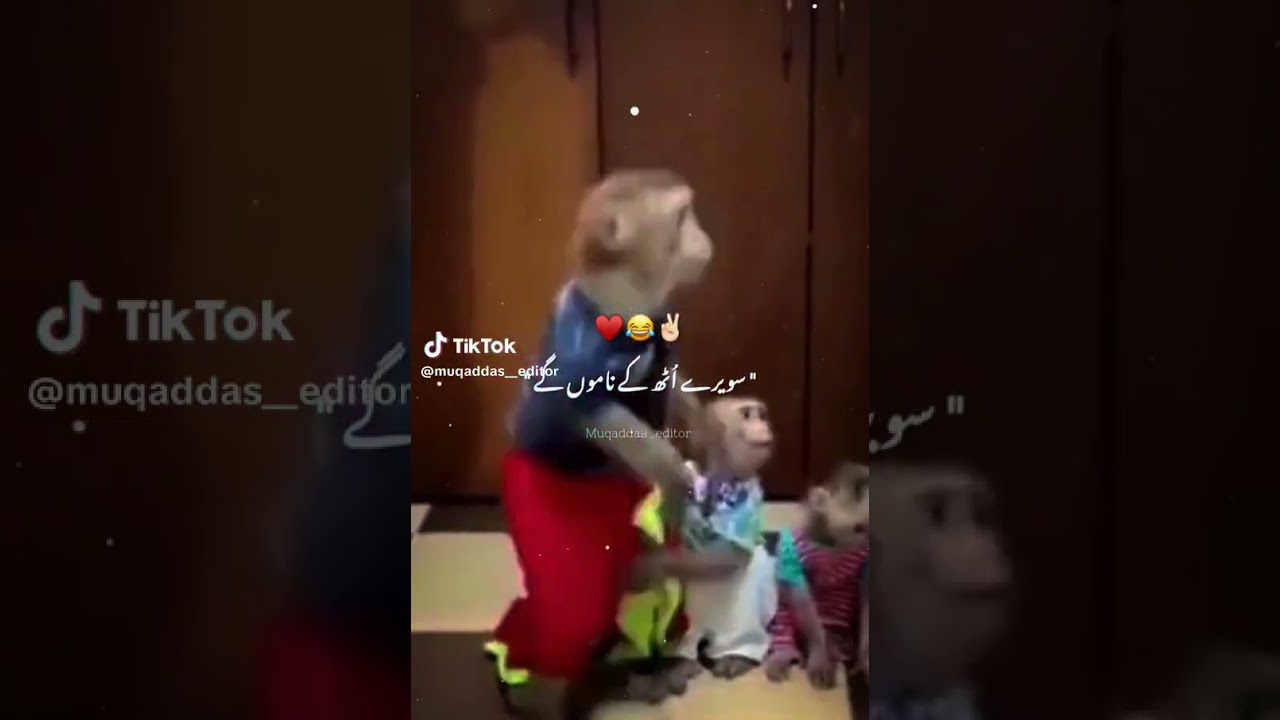 Eid ke kapde pahan ke Nani ke ghar javange||😃😃😃🤠🤠