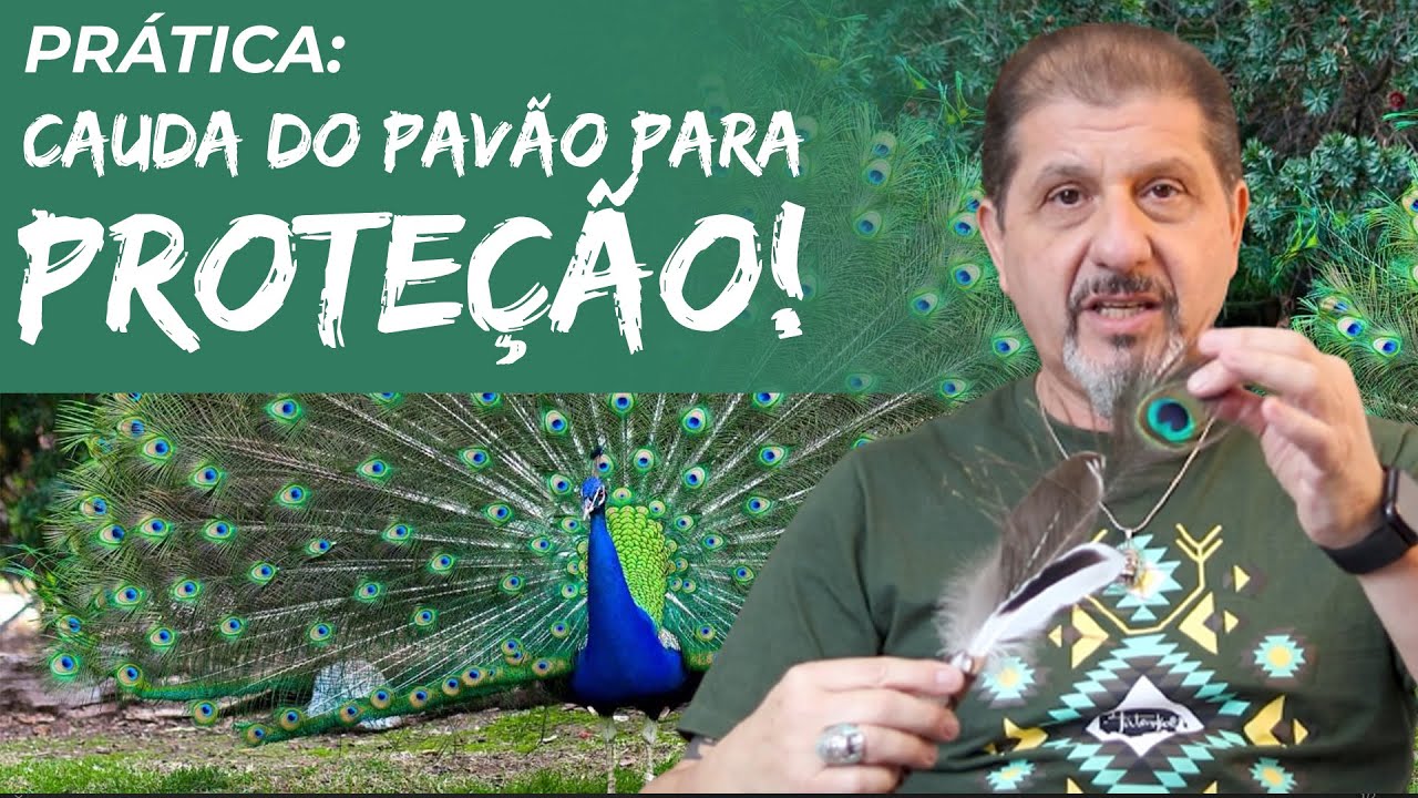 Técnica de Proteção - Cauda do Pavão | Xamanismo em Você 271