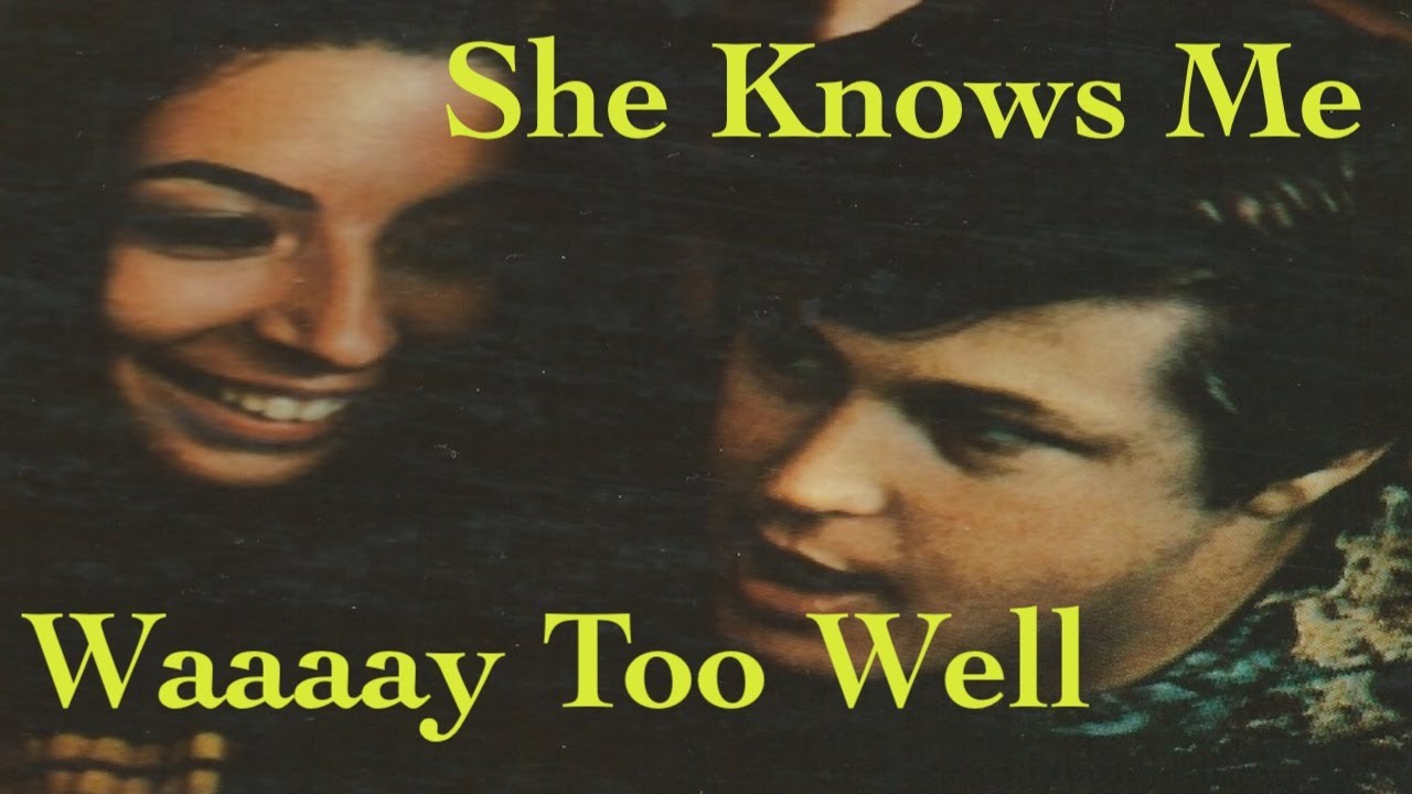 Beach Boys ~ She Knows Me Too Well: Production analysis/walkthrough