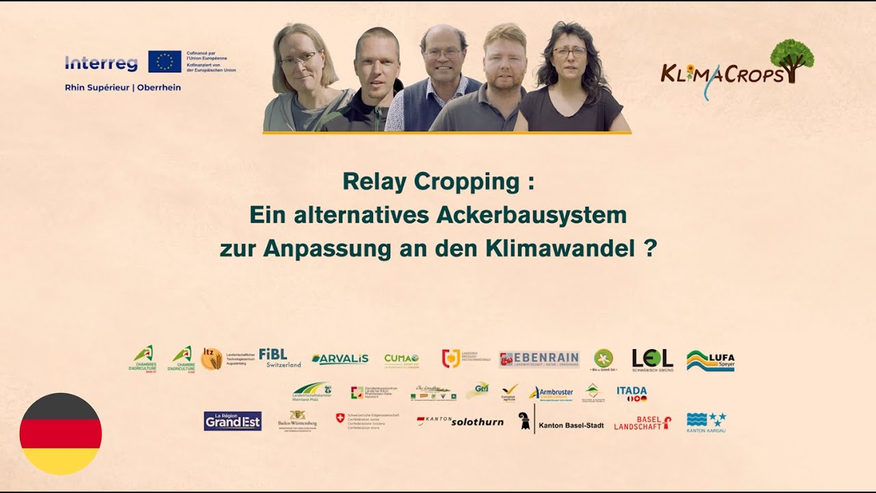 [DE] Doppelt säen – besser ernten ? Relay Cropping im Test
