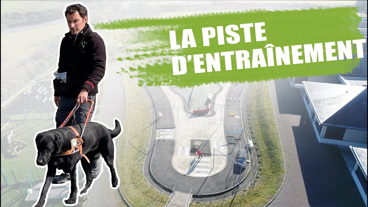 Chiens Guides d'Aveugles de l'Ouest : la piste d'entraînement 🦮