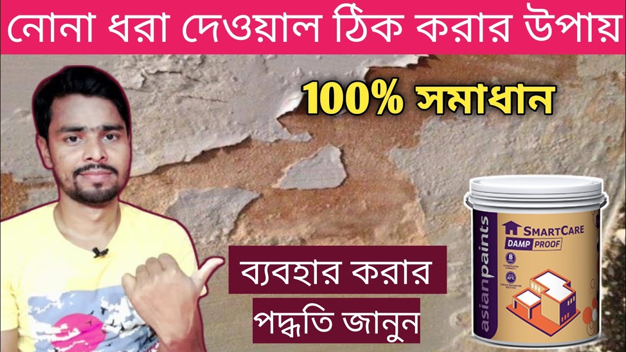 Damp Wall Treatment Bangla Video | Asian Paints Damp Proof