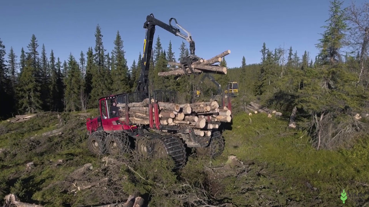 Viken Skog - sluttavvirkning