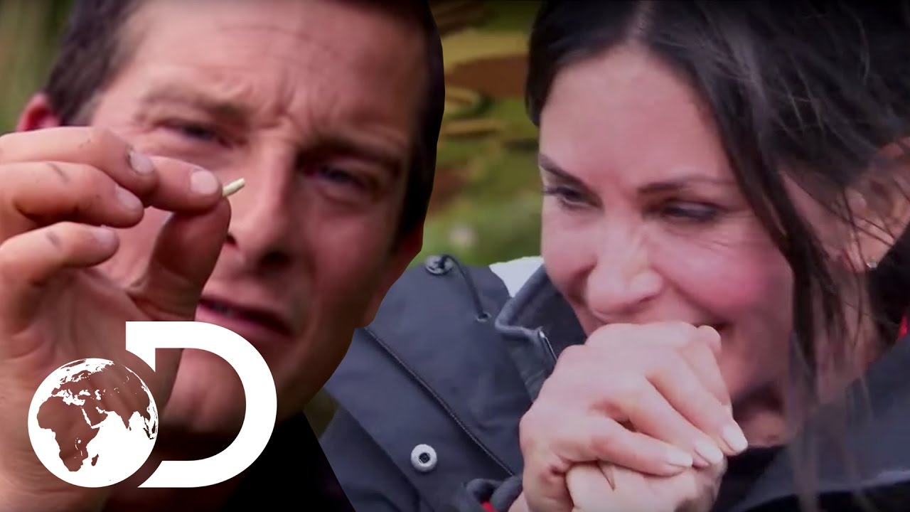 Courteney Cox Eating Maggots! | Running Wild with Bear Grylls