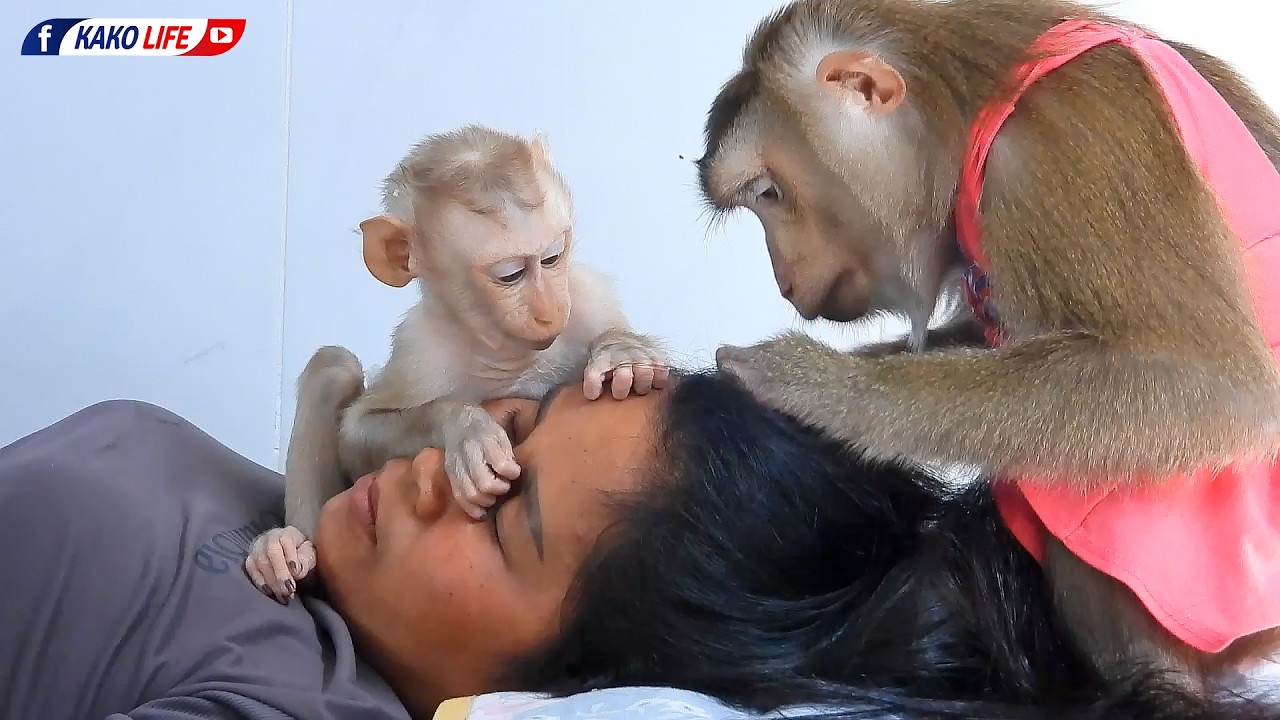 Madam Luna With Little Luka Focus To Grooming Grandma Together