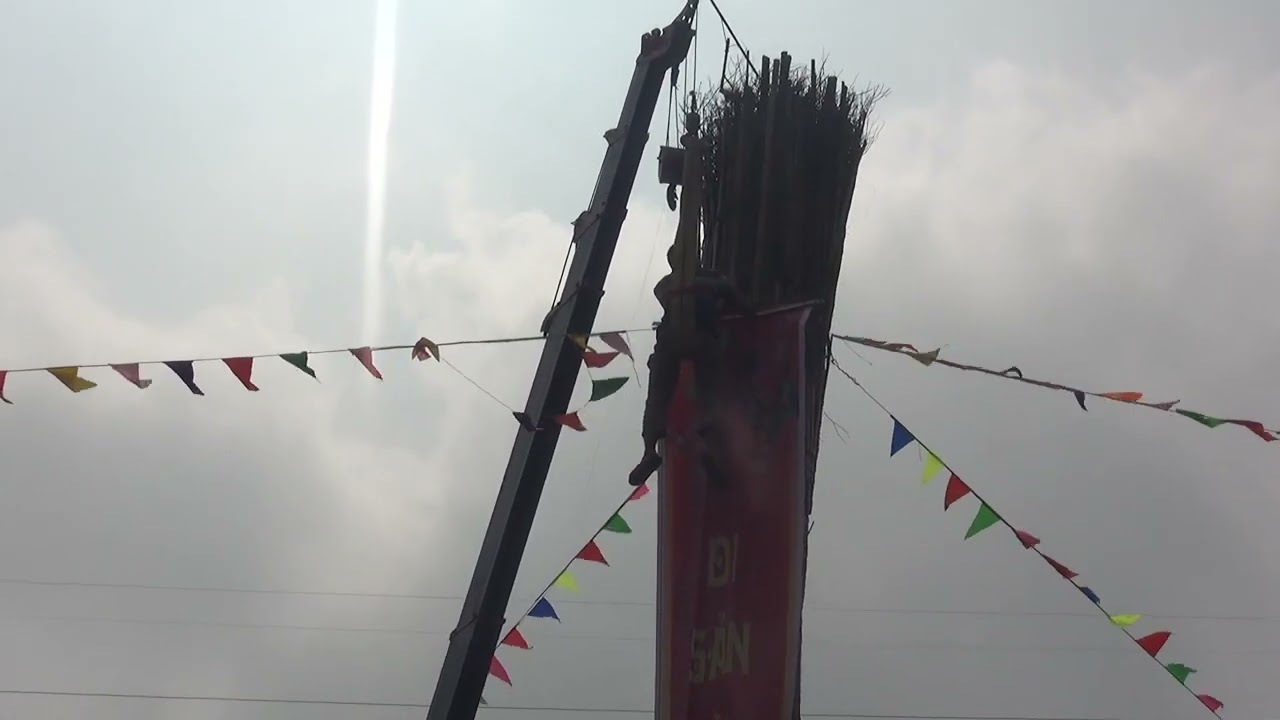 Cây đình điệu khổng  lồ Xóm bồ vàng Thôn tích  giang 1