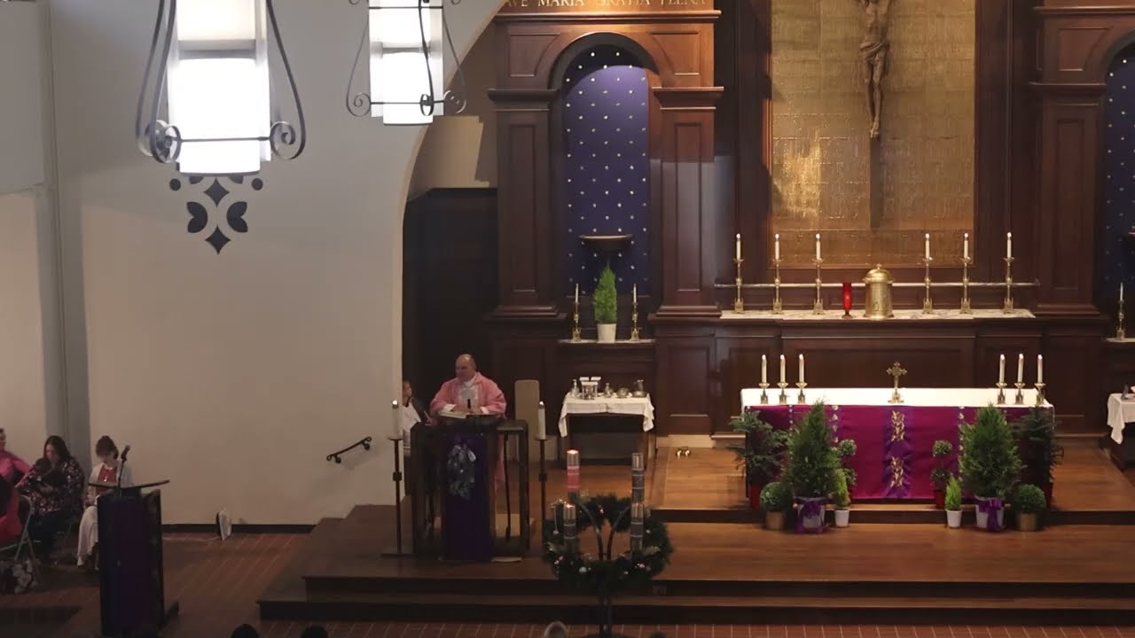 Gospel and Homily 12-14 -25 Fr Preston