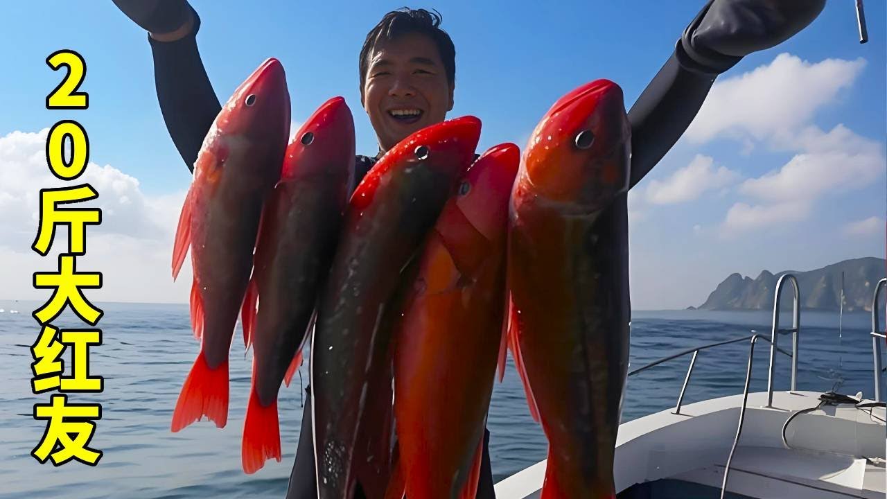 荒島潛水規劃大翻盤！阿鋒獨釣「紅魚天花板」，一網兜住整片海 【探海渔人】#赶海天花板