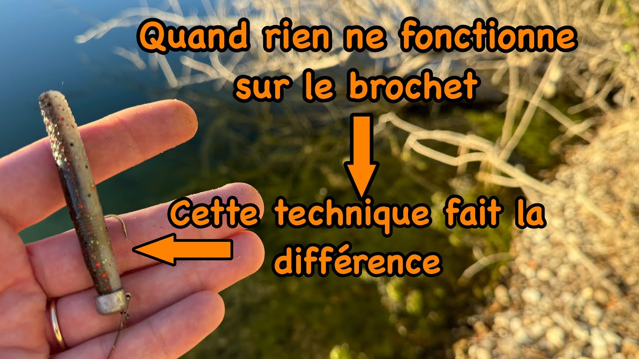 Brochet au Ned Rig
