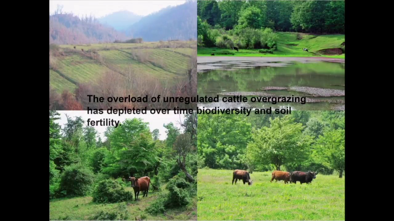 Miarch 2016 Lankaran (Azerbaijan)  An 80 hectar sustainable farm intervento Matteo Poli Architetto