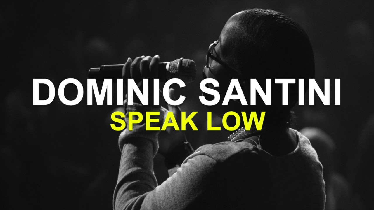 Dominic Santini - Speak Low ft. Billie Holiday #billieholiday #jazz #blues #mostwanted #remix