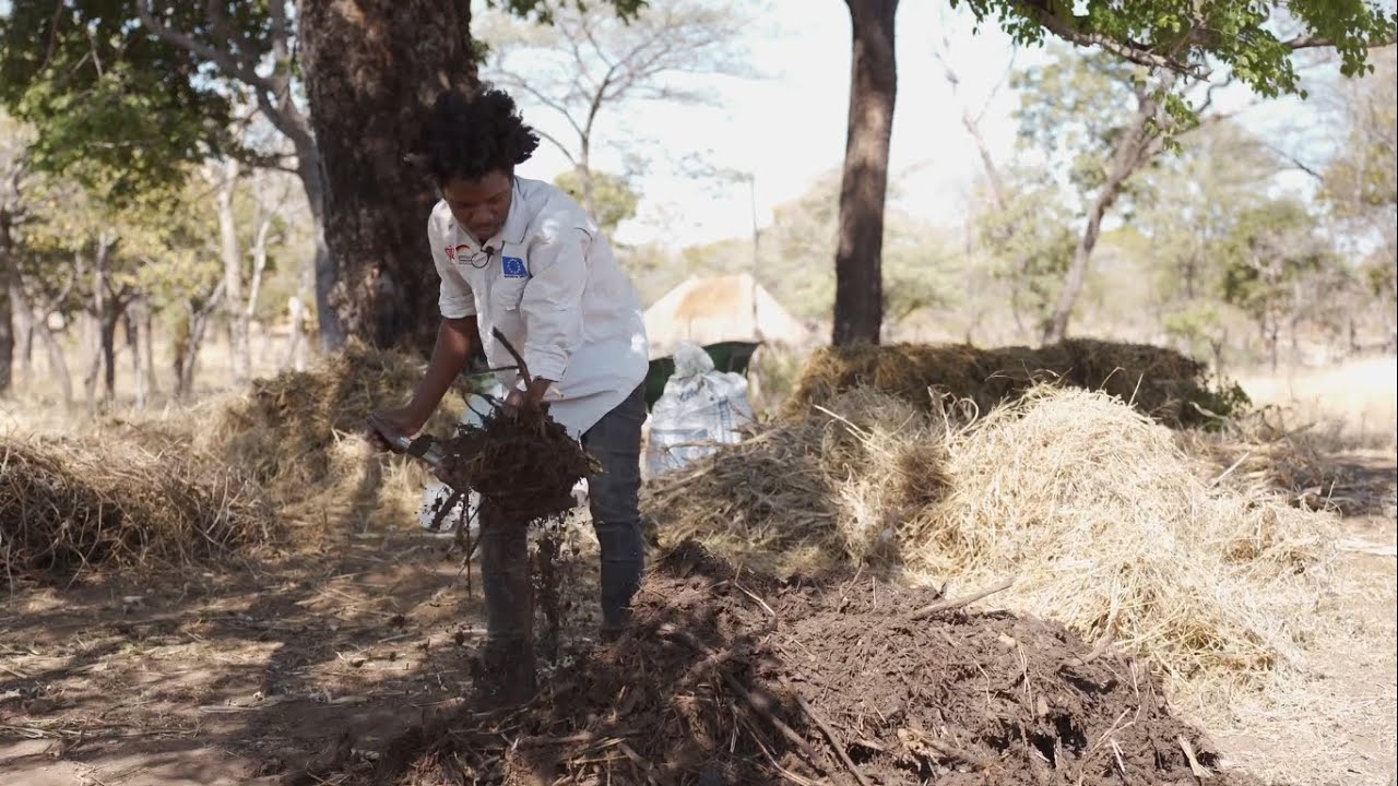 Compost Making
