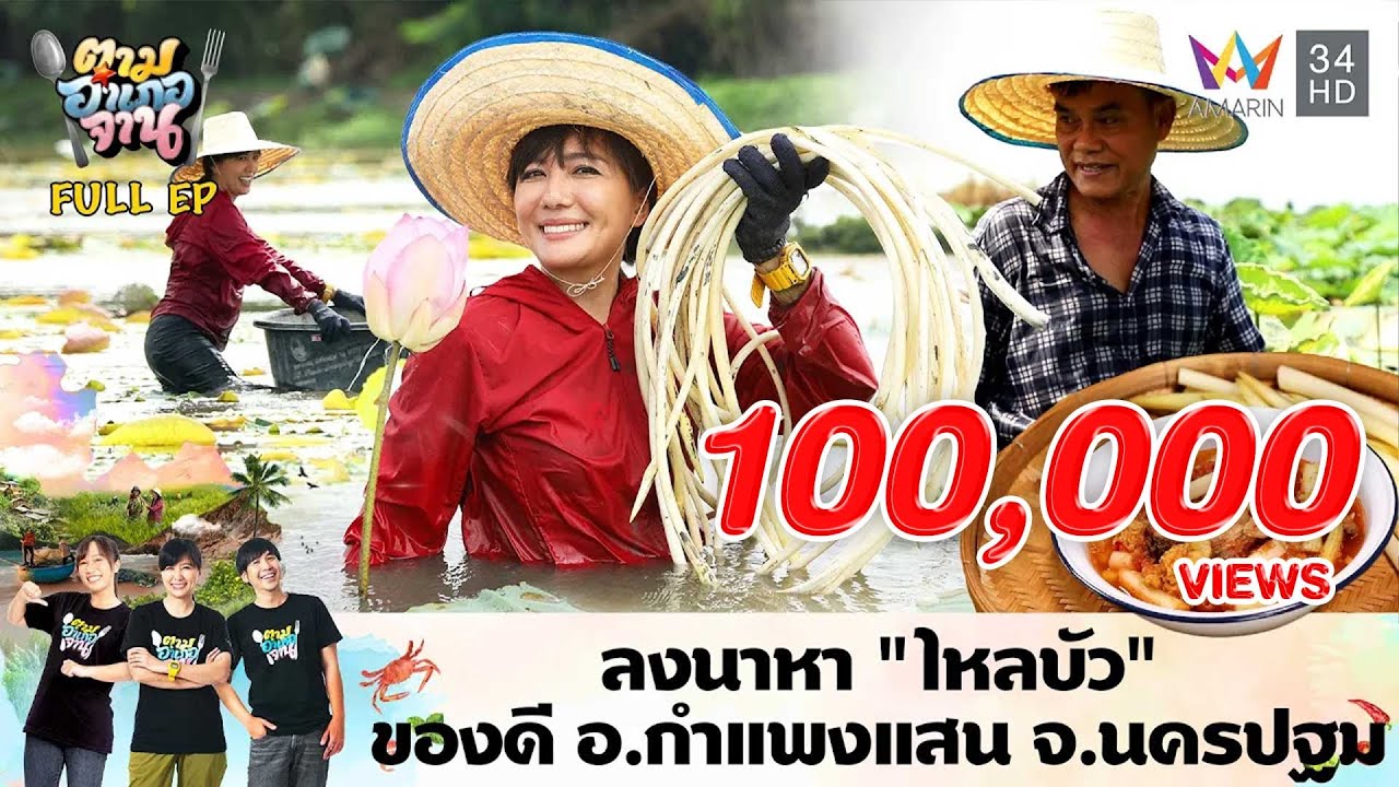 ลงนาหา “ไหลบัว” ของดี อ.กำแพงแสน จ.นครปฐม | ตามอำเภอจาน | 20 ส.ค. 67 Full EP