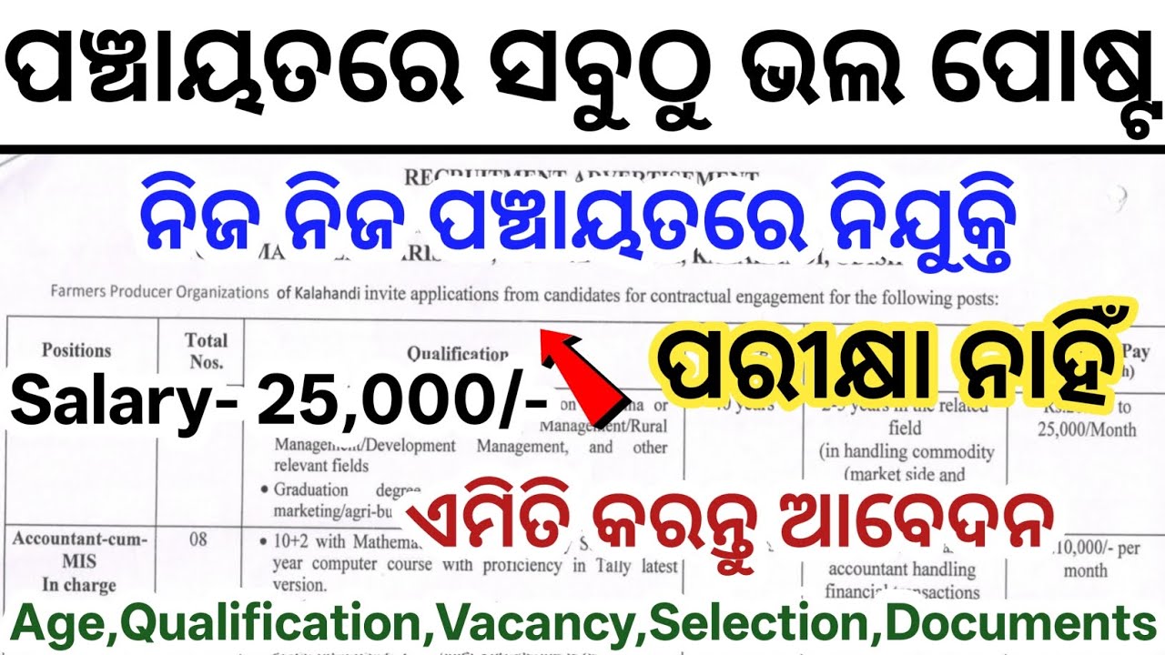 Odisha Panchayat Level Govt Jobs 2025// Panchayat Jobs in Odisha// Update Govt Jobs in Odisha 2025