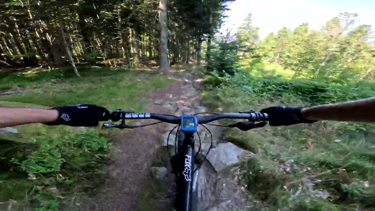 Chercher la fraîcheur dans le Pilat 