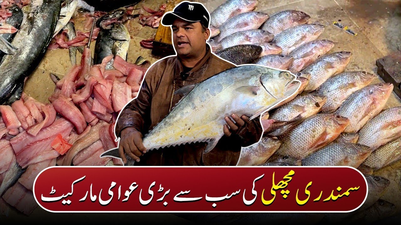 Moosa Colony Ki Fish Market | Pakistan Kay Sath