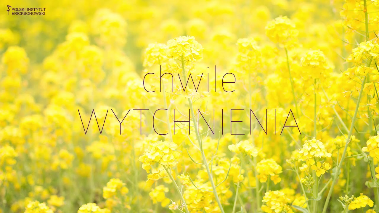Chwile WYTCHNIENIA:  Bajka o polnym wietrze - Monika Beska-Chajdas