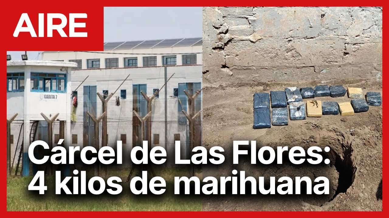 🔴 Encontraron más de 4 kilos de marihuana enterrados en un patio de la cárcel de Las Flores 🔴