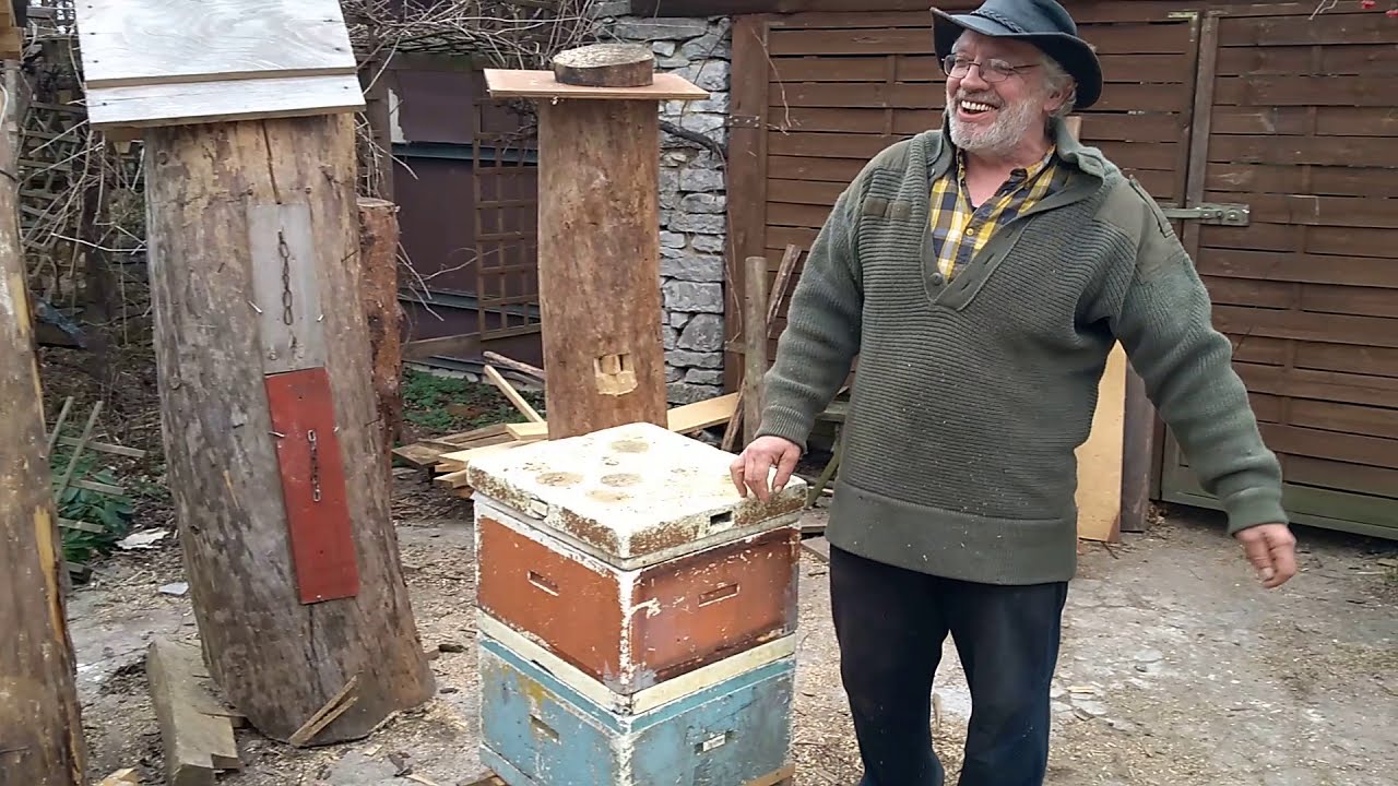Krótko o różnicy między barcią, a ulem