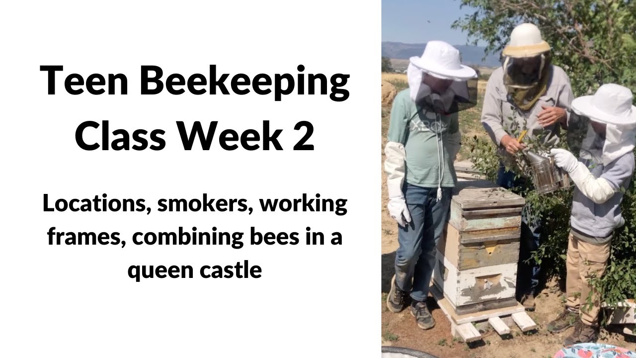 Teen Beekeeping Class Week 2, Honey bee locations, working with frames, and combining colonies