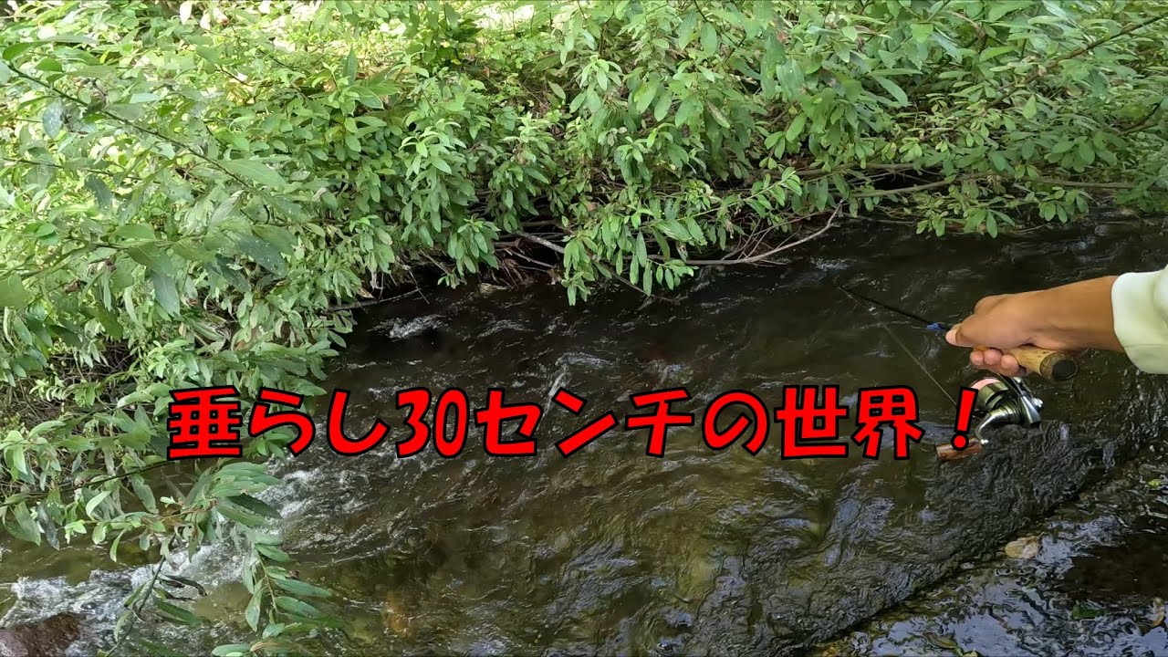 この距離感でこんな良い魚釣れちまうのはバグっている【渓流ルアー】