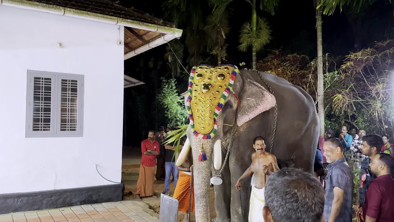 അരങ്ങം ശ്രീ മഹാദേവ ക്ഷേത്ര തിരു ഉത്സവം | Arangam Sree Mahadeva Temple Thiru Ulsavam 2026