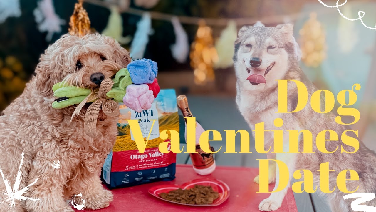 Dog valentines date