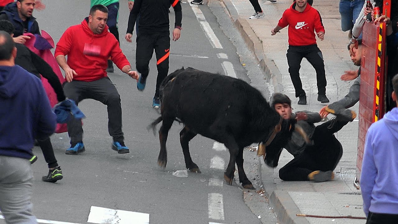 ENCIERRO DE LA GANADERIA “MACUA”, DE LARRAGA (NAVARRA), FITERO 10-3-2023