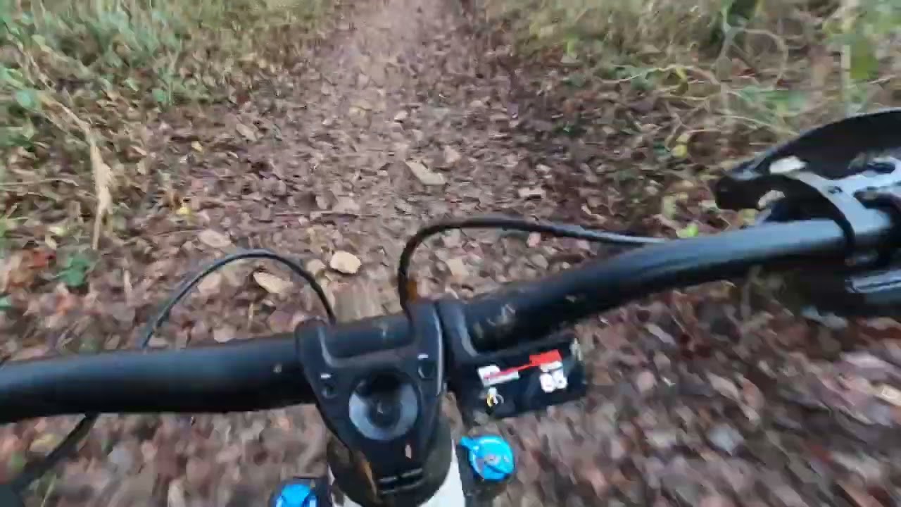 E-pisode 1583 : BOSCH SHIMANO mode M+