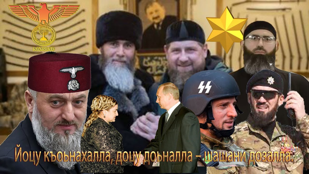 Йоцу къоьнахалла, доцу доьналла – шашани дозалла. 21.02.2024 шо