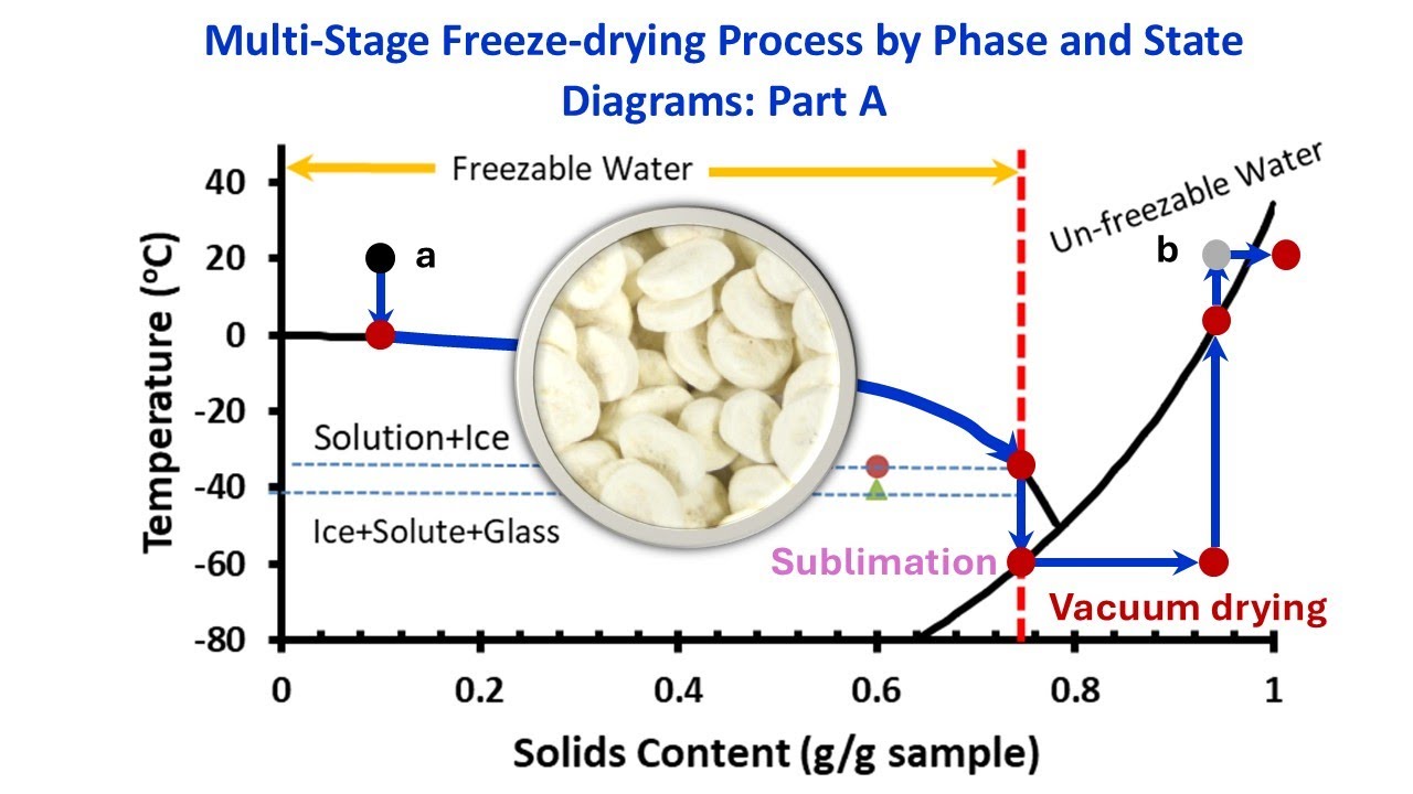 Multi-Stage Freeze-drying Process by Phase and State Diagrams: Part A