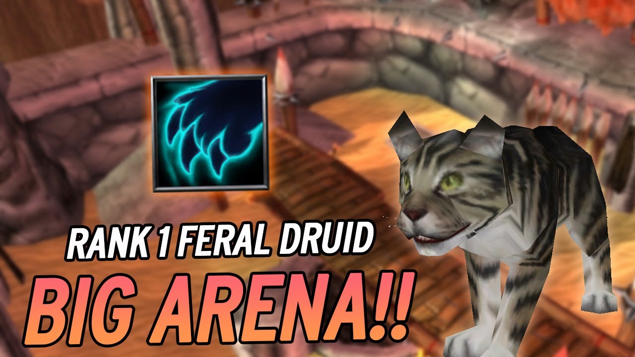 RANK 1 FERAL DRUID CLIMB!!! | Bean WoW WotLK Classic