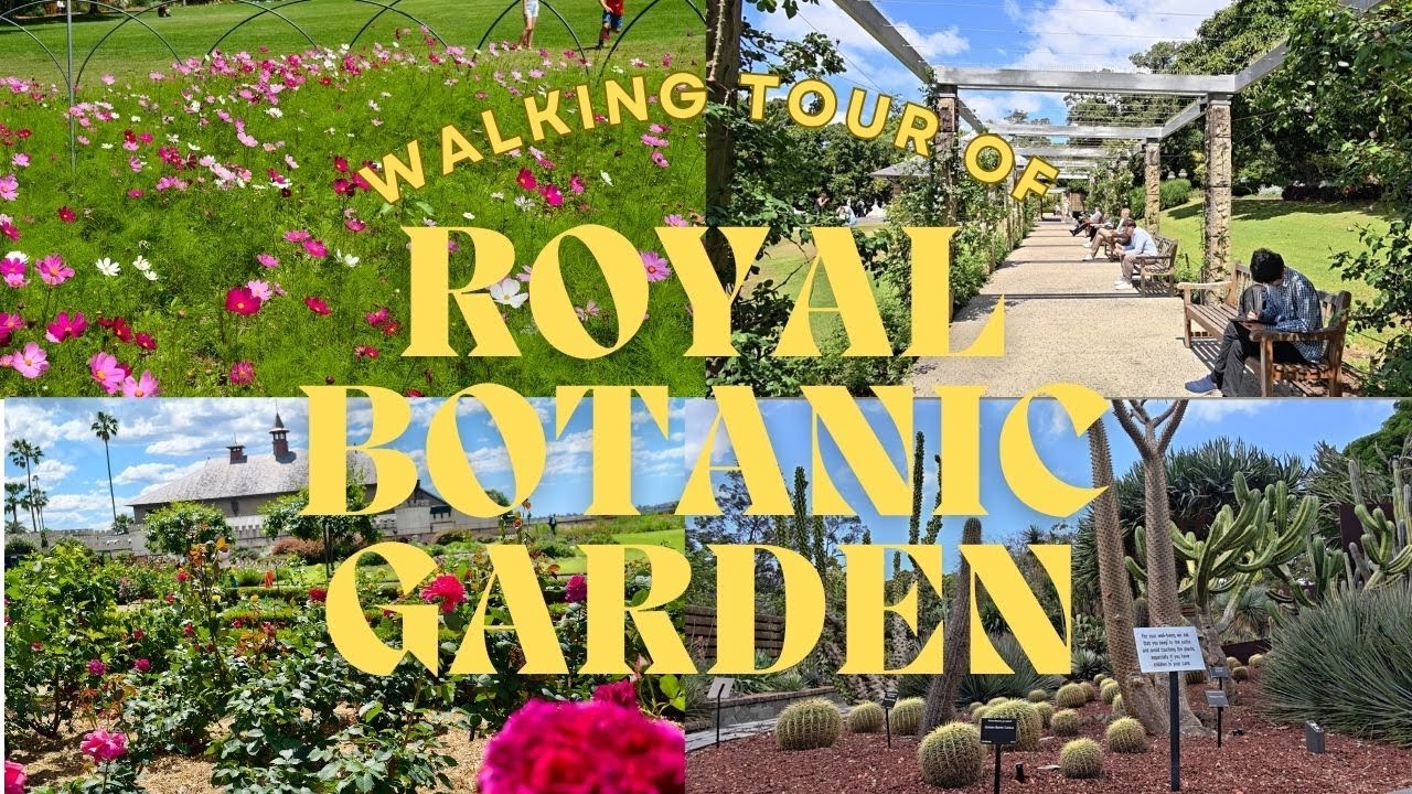 Royal Botanic Garden Sydney 🇦🇺 Walking Tour ☘️ Beautiful Spring Gardens! [4K UHD]