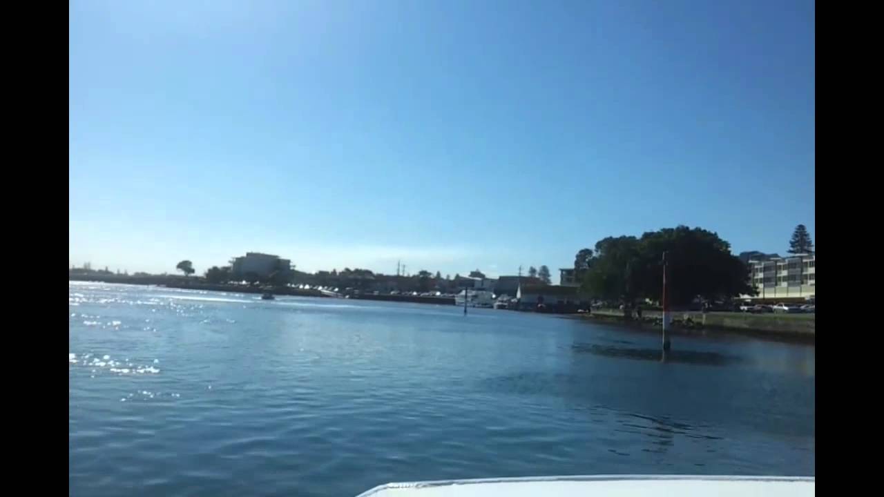 IFLYFISH quick flick update