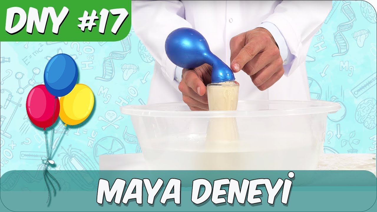 Fen Deneyi #17 | Maya ile Balon Şişirme