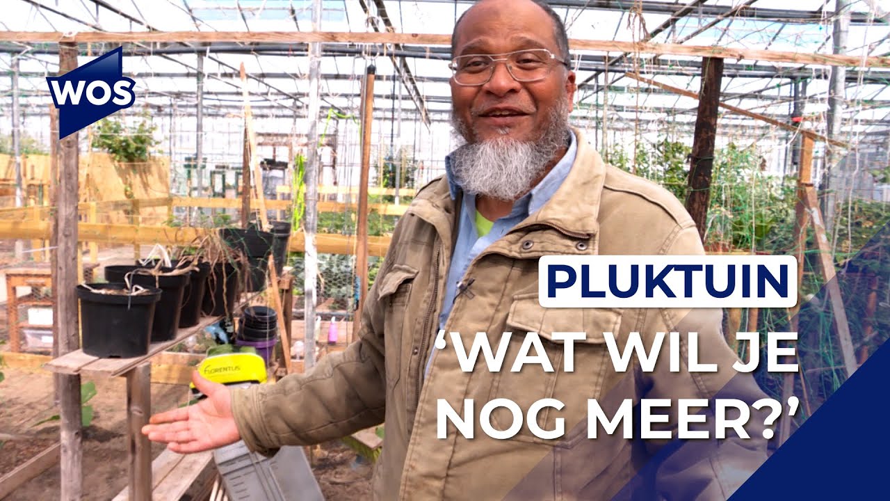 Een eigen moestuin in de kas