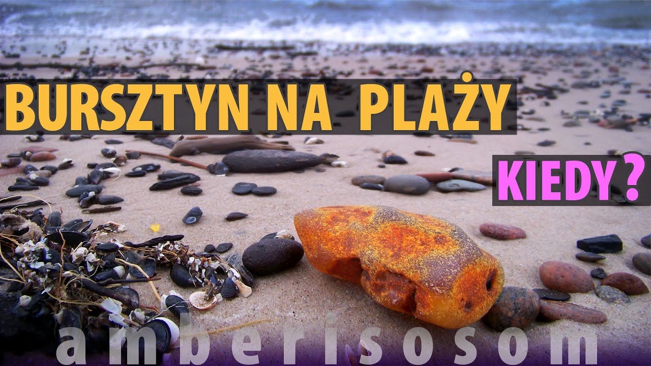 KIEDY BURSZTYN NA PLAŻY? - czyli jak prognozować wysypy bursztynu