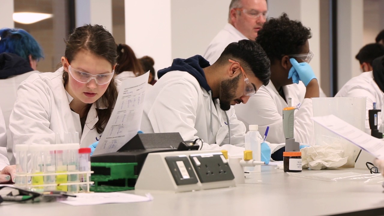 Pedagogic research puts the Flipped Laboratory into practice