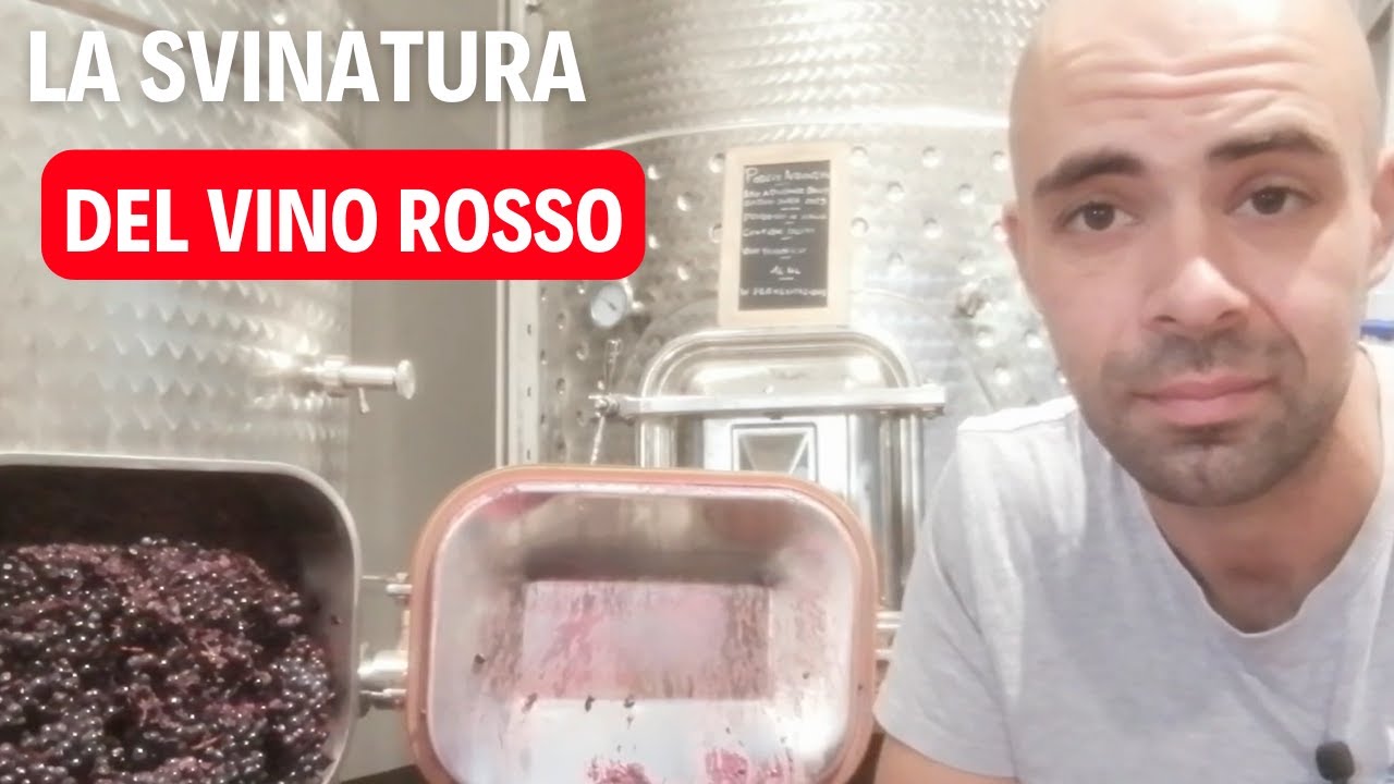 La SVINATURA del vino ROSSO