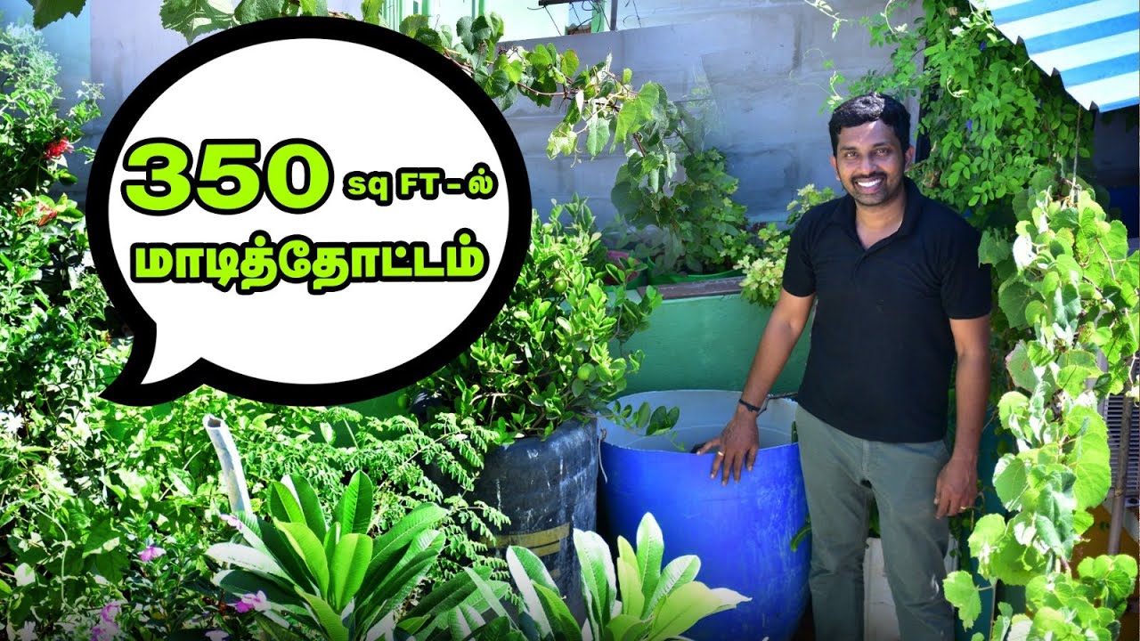 350 sq ft-ல் மாடித்தோட்டம் | அசத்தும் physiotherapy மருத்துவர் | Mini Terrace Garden