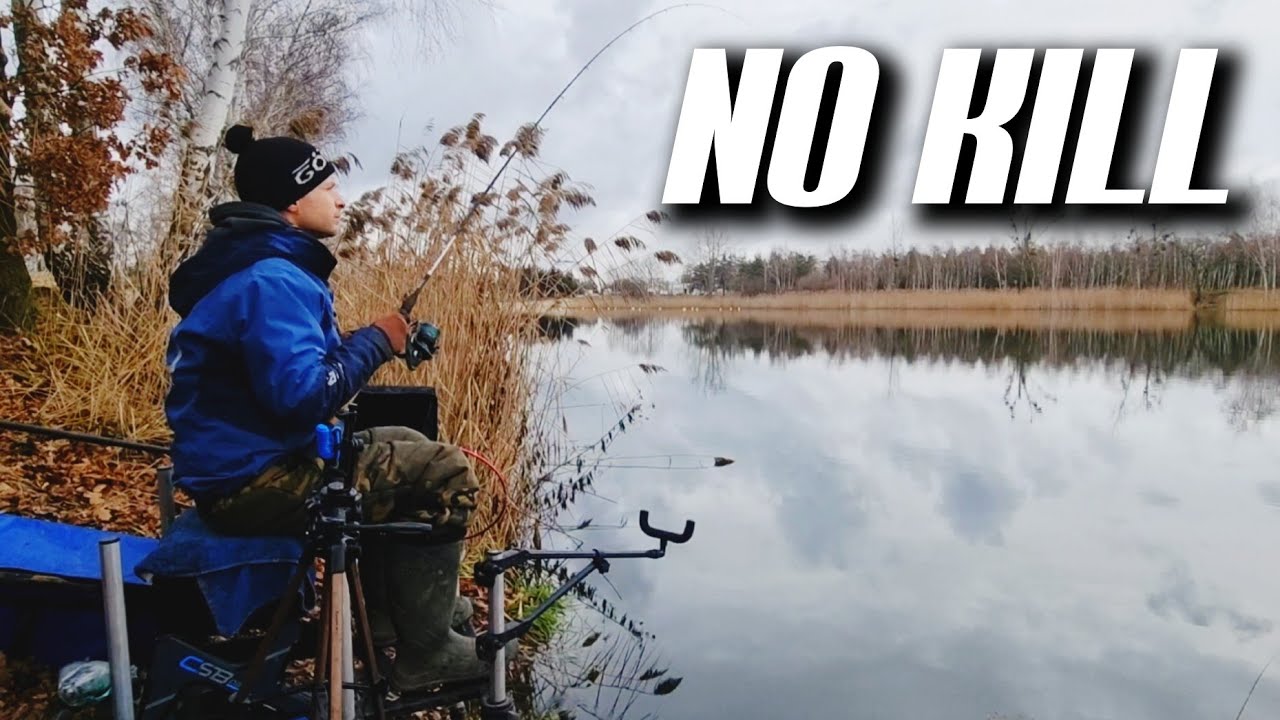 458 STAW NO KILL  - ZMIANA KOSZYKA DAJE EFEKT - JELCZ-LASKOWICE