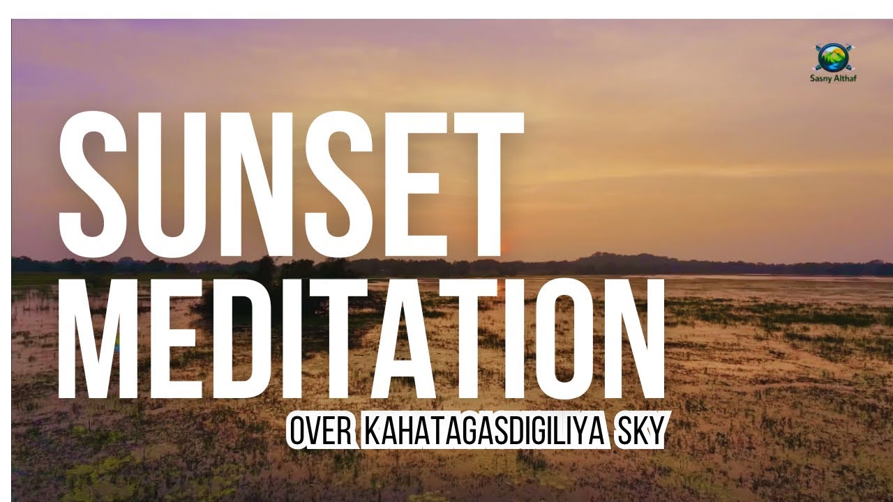 Relaxing Nature View | Peaceful Sunset Over Wetlands | Calm Nature | Golden Sunse