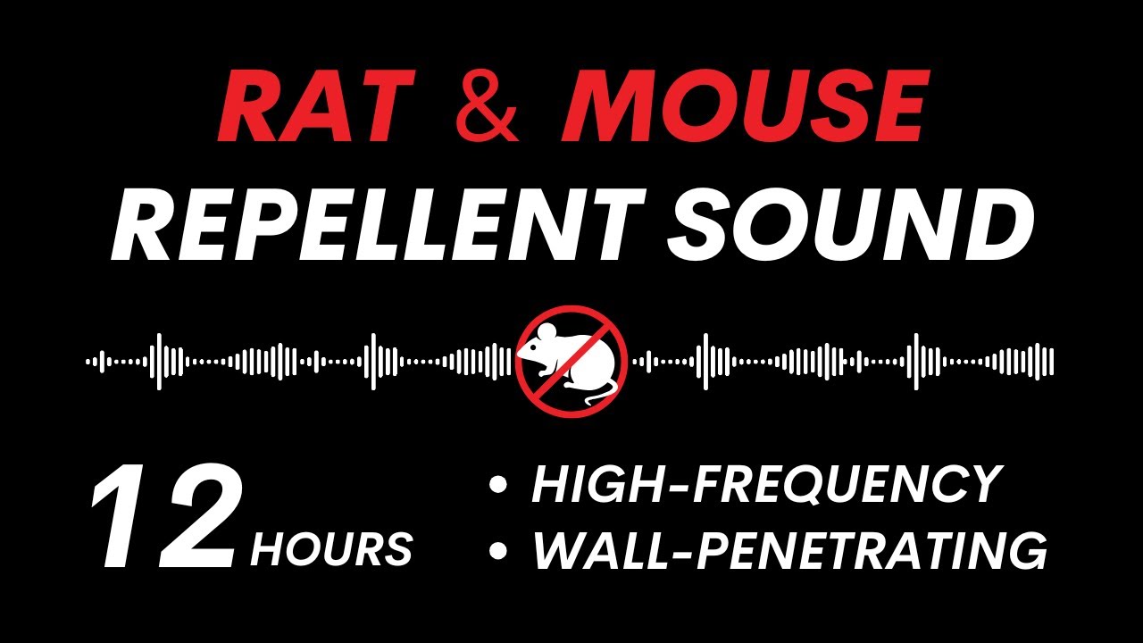 Ultrasonic Rat & Mouse Repellent | Effective Wall-Penetrating Sound | 12 Hours