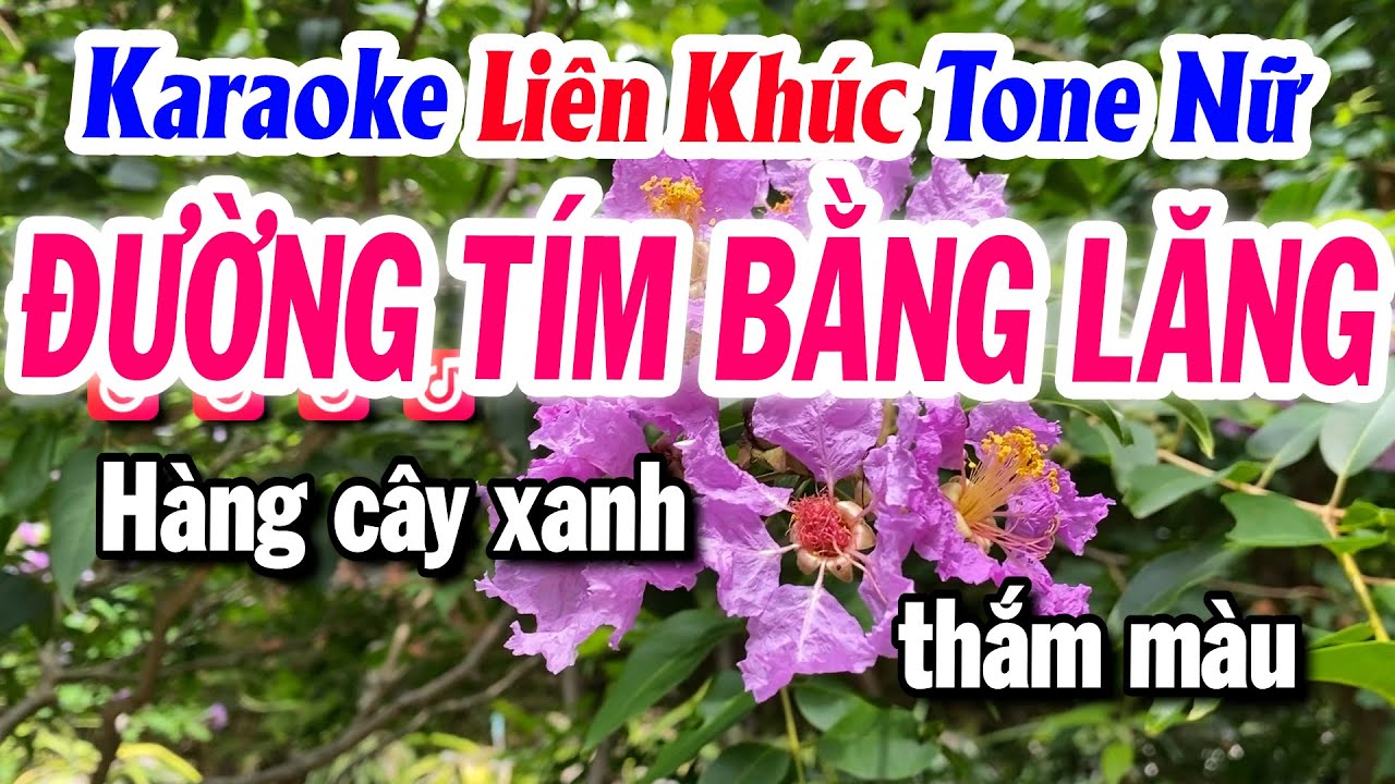 Karaoke Liên Khúc Nửa Bài ĐƯỜNG TÍM BẰNG LĂNG Tone Nữ Dễ Hát - Beat Tuyết Nhi