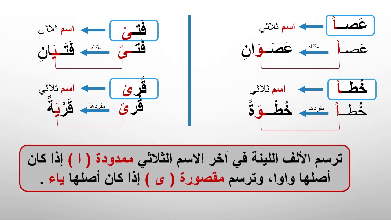 الألف اللينة مقصورة وممدودة - المستوى الخامس